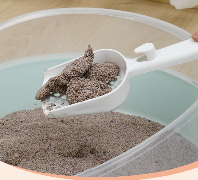 Katzentoilette - Large Cat Litter Box