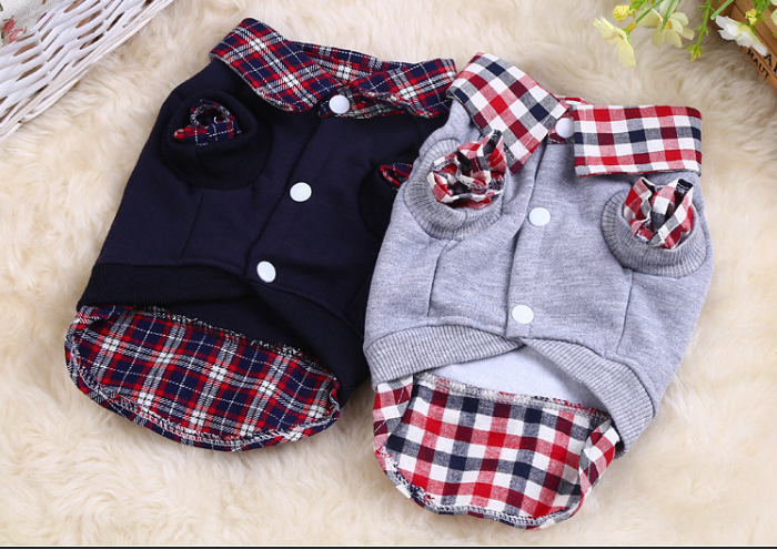 Teddy VIP Pomeranian Kleinhund Kaschmirmantel