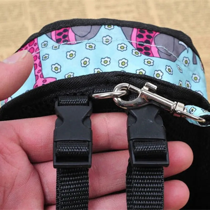 Pet Dog Leash with Convenient Carry Bag