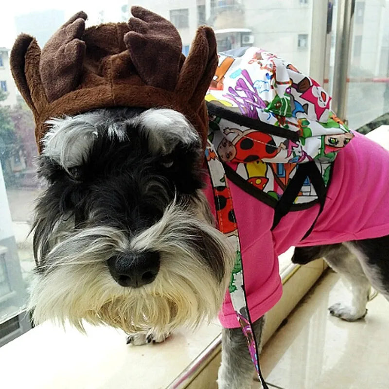 Pet Dog Leash with Convenient Carry Bag