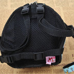 Pet Dog Leash with Convenient Carry Bag