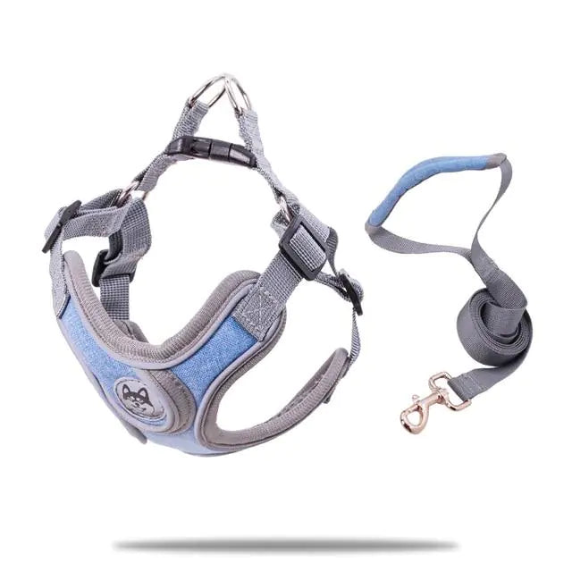 Geschirr und Leine / XS - L