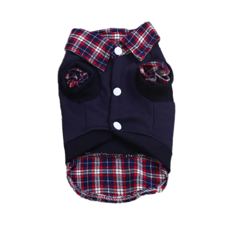 Teddy VIP Pomeranian Kleinhund Kaschmirmantel